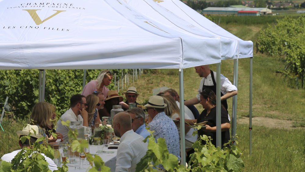 
                  
                    Skagen Champagne Vineyard Lunch
                  
                